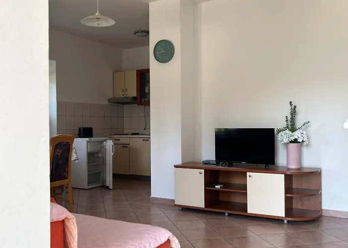 Apartment Anka Brala Posedarje